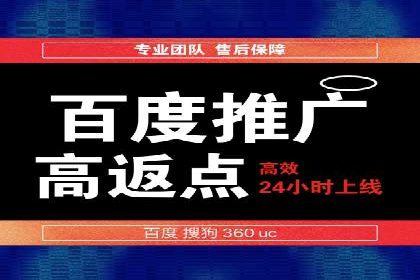 网络推广竞价实战：某电商平台的成功案例