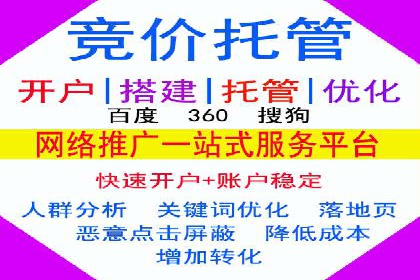 某公司SEO与SEM整合营销的全程记录